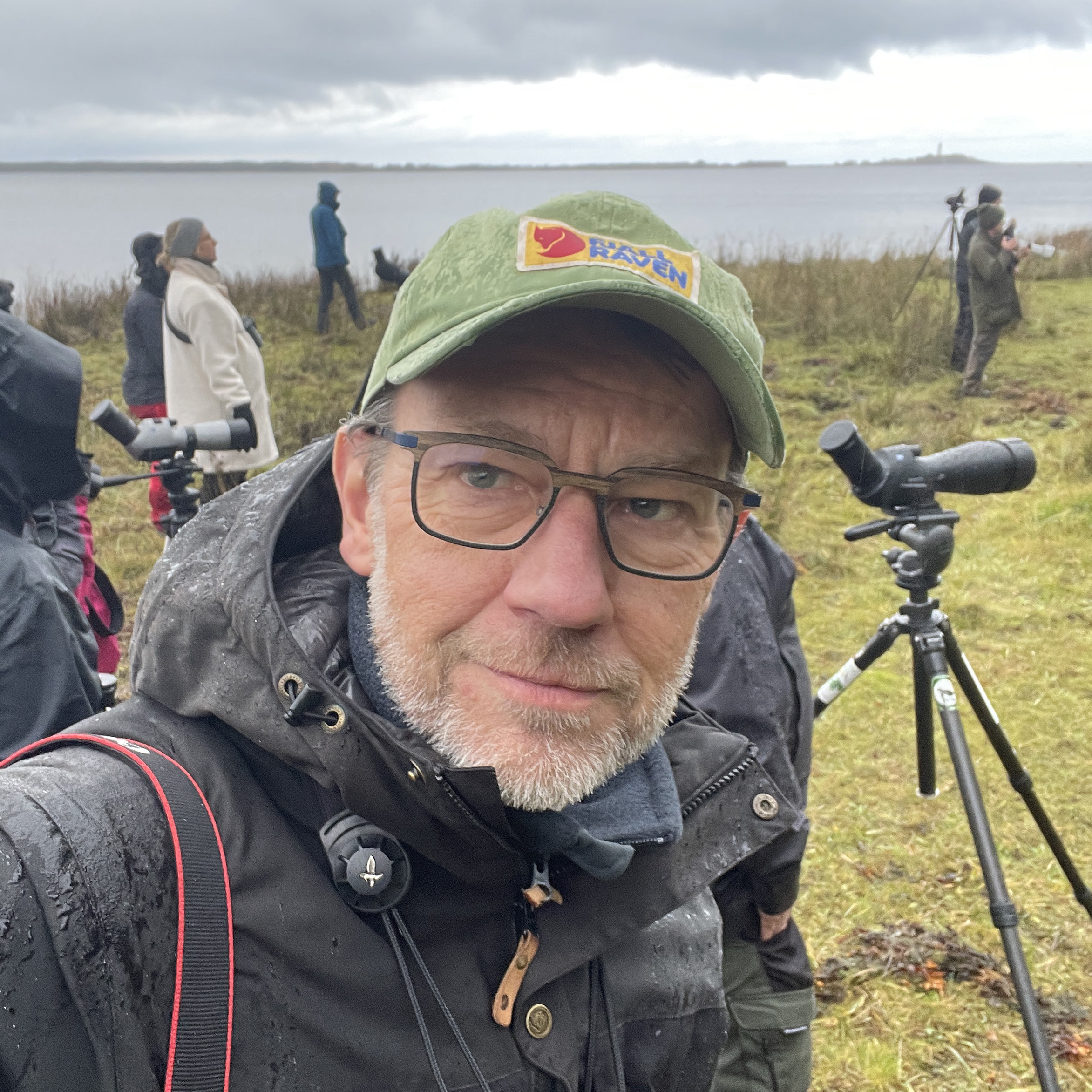 Profilbild