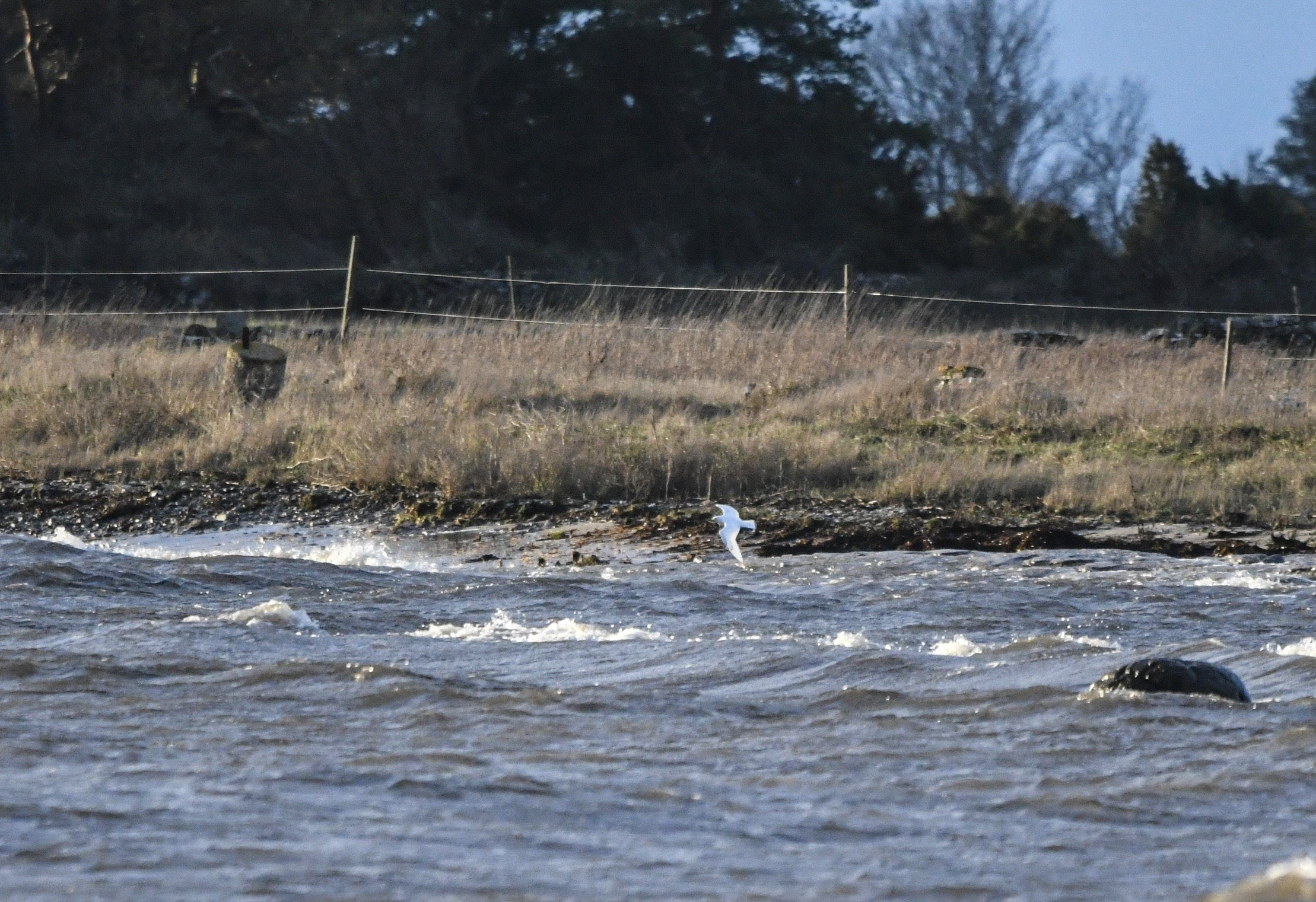 2:a fyndet på Öland.
