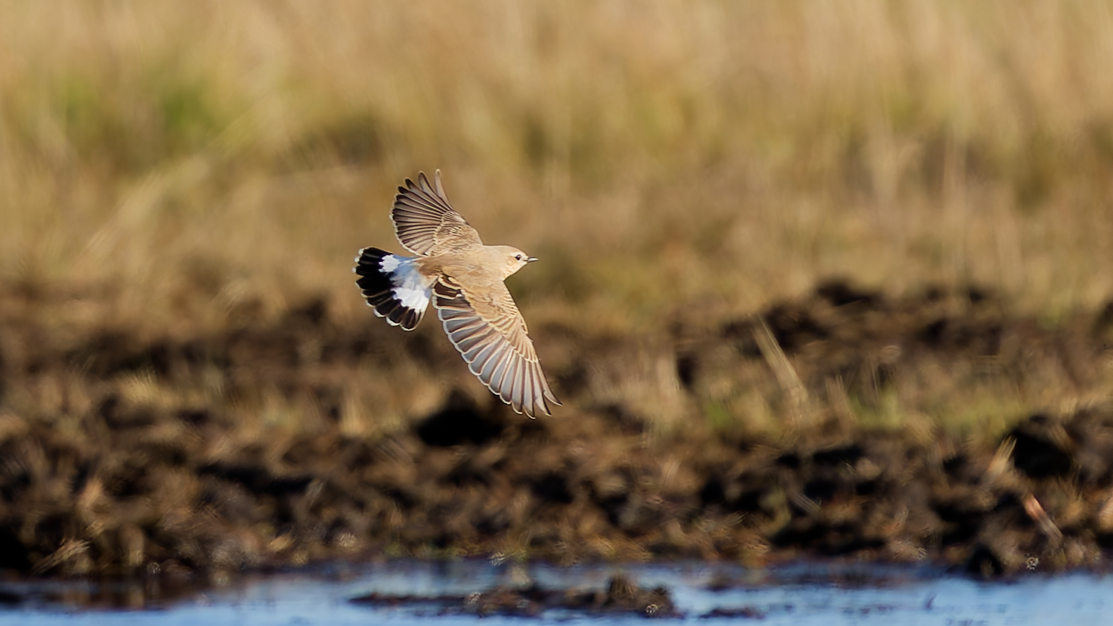Inte godkänd av RK ännu. ?