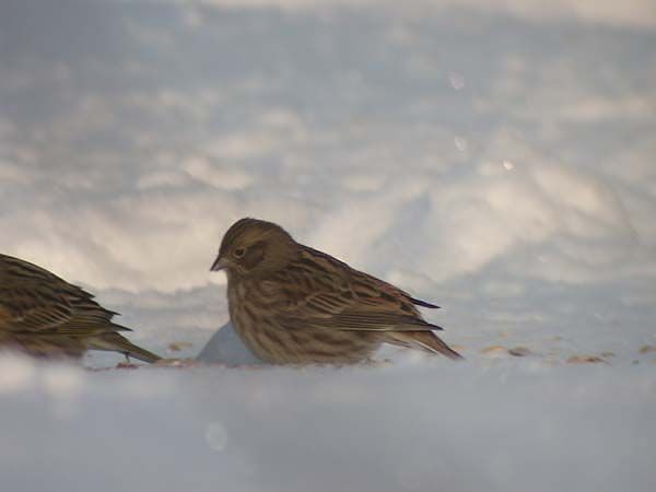 Fotograf: Max Lundberg